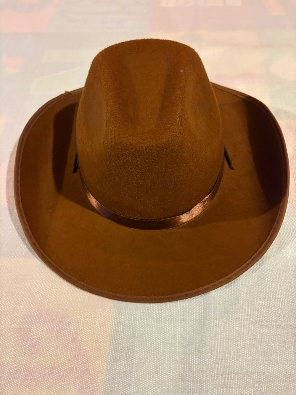 Classic Brown Felt Cowboy Hat costume